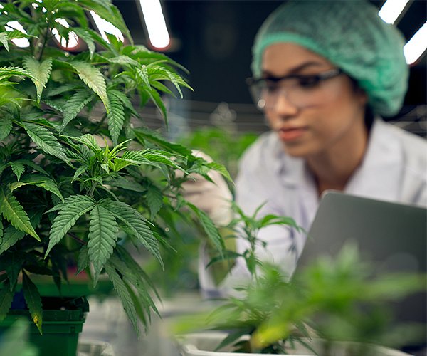 RMS od Rotronic je bezpečný a spolehlivý systém, který vyhovuje normám